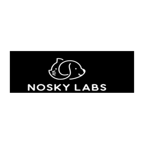 Nosky Labs Logo
